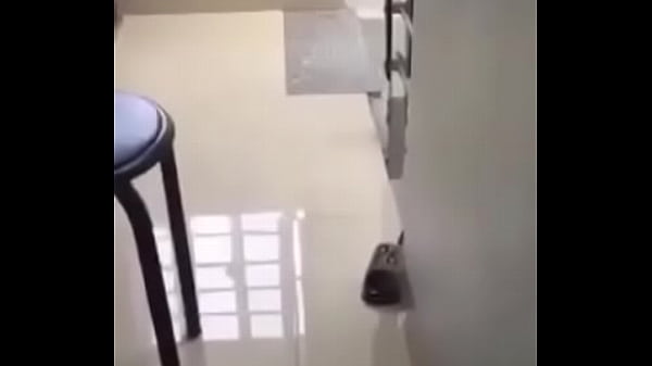 Dhdhdhd